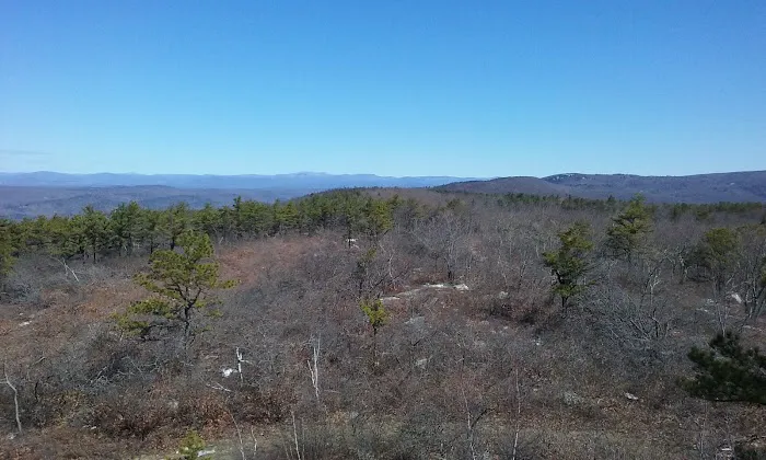 Land & Forest Department Picture 5