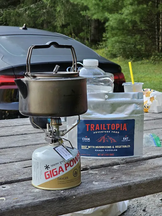 Delaware State Forest campsite #E014 Picture 2