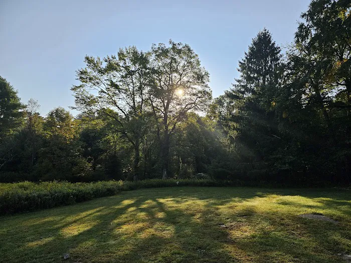 Delaware State Forest campsite #E014 Picture 3