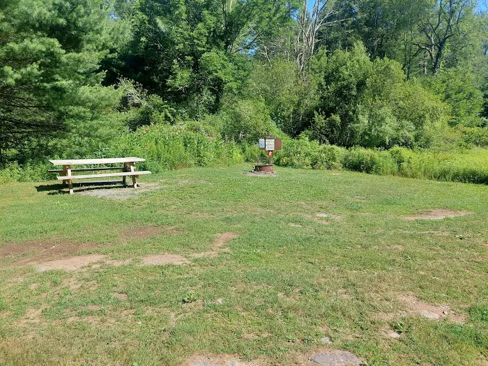 Delaware State Forest campsite #E014 Picture 1