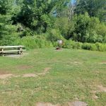 Delaware State Forest campsite #E014