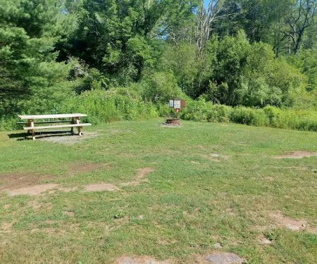 Delaware State Forest campsite #E014