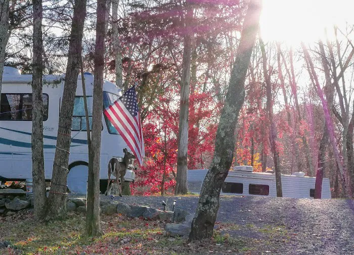 Delaware Water Gap / Pocono Mountain KOA Holiday Picture 8