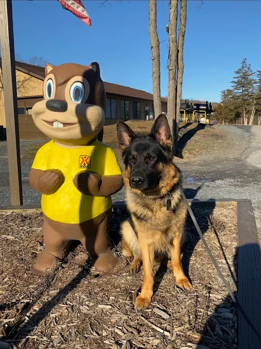 Delaware Water Gap / Pocono Mountain KOA Holiday Picture 10