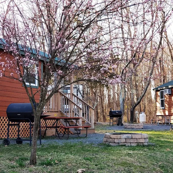 Delaware Water Gap / Pocono Mountain KOA Holiday Picture 7