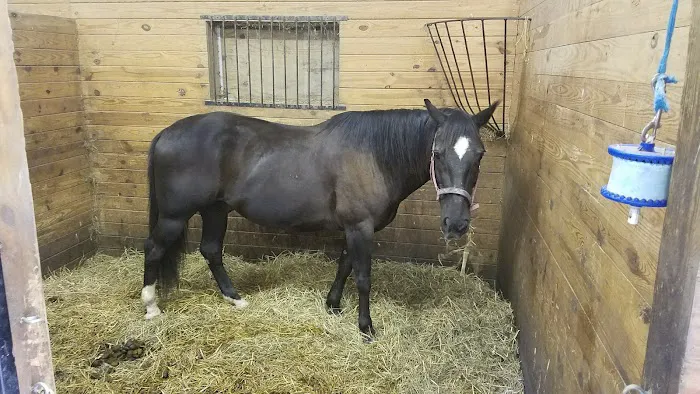 PA Camping, The Pennsylvania Campground Owners Association Picture 4