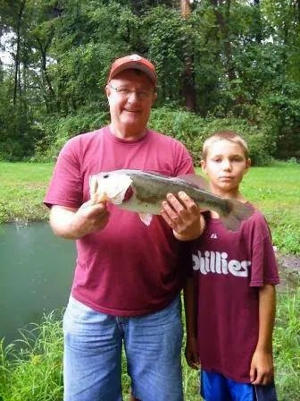 Mountain Vista Campground Picture 5