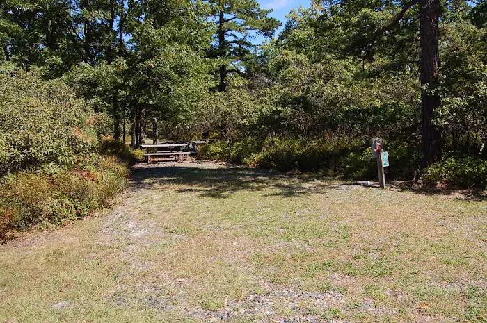 Thousand Trails Timothy Lake South Picture 8