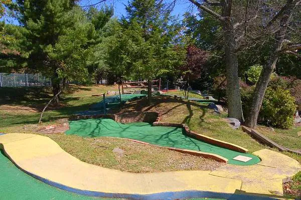 Thousand Trails Timothy Lake North Picture 2