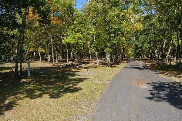 Thousand Trails Timothy Lake North Picture 7