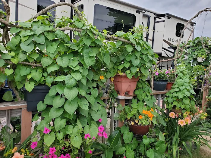 Pocono Vacation Park Picture 9