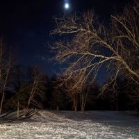 Hoyt Scout Reservation, Scouting America ico