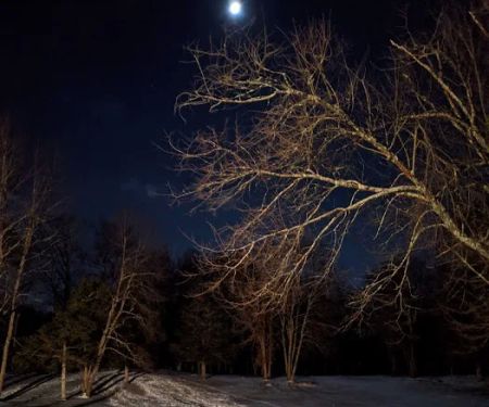 Hoyt Scout Reservation, Scouting America