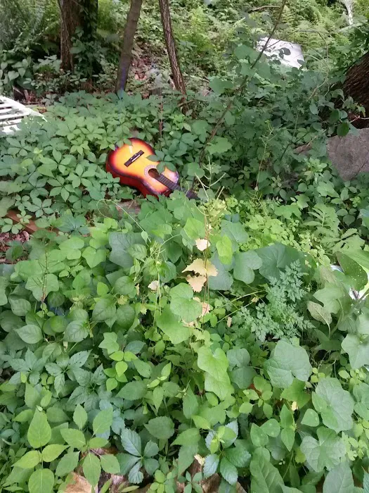 Hoyt Scout Reservation, Scouting America Picture 7