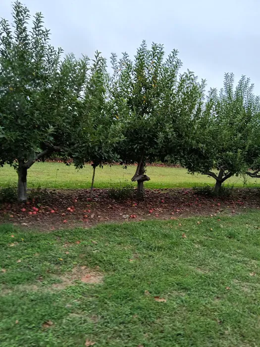 Lake Kandle Picture 6