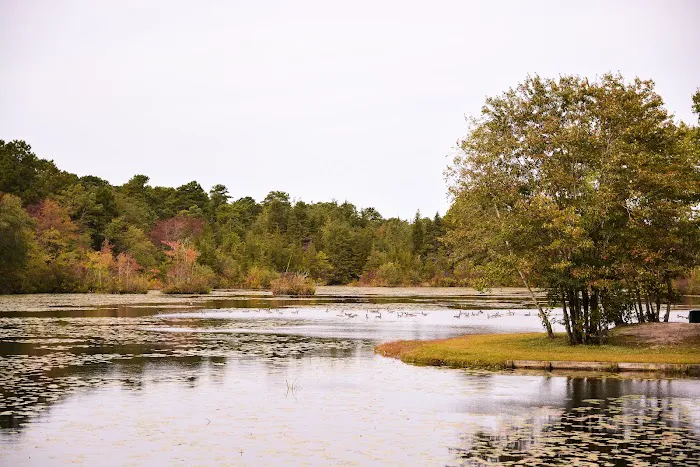 Hospitality Creek Campground Picture 9