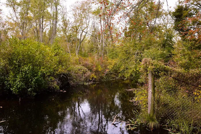 Hospitality Creek Campground Picture 10