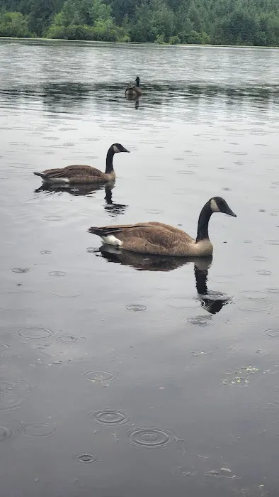 Hospitality Creek Campground Picture 1