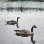 Hospitality Creek Campground