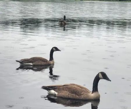 Hospitality Creek Campground