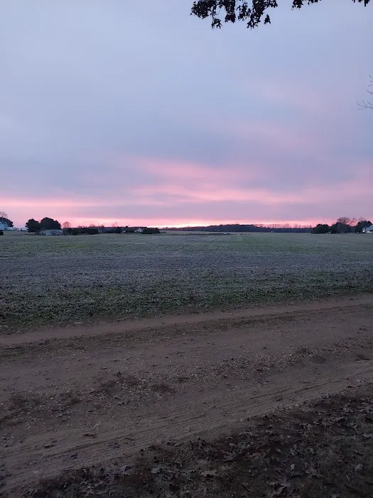 Holly Green Camping Grounds Picture 2