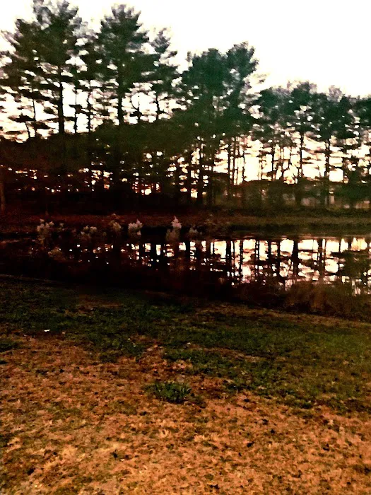 Holly Green Camping Grounds Picture 5