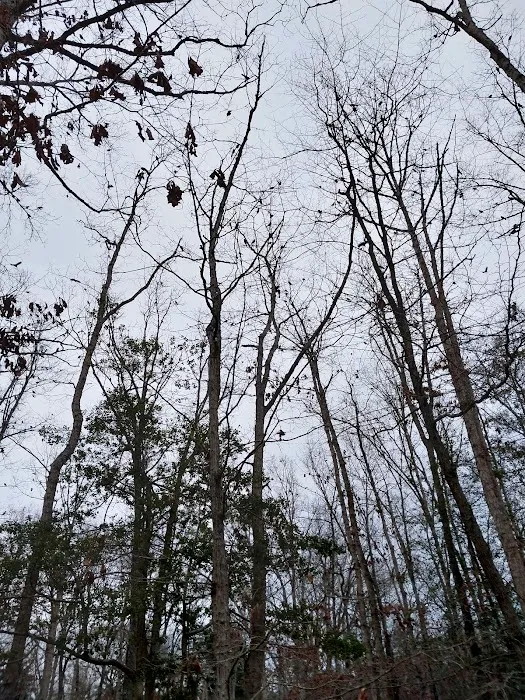 Holly Green Camping Grounds Picture 1