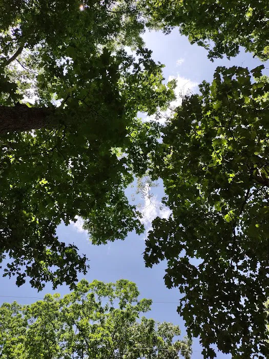 Holly Green Camping Grounds Picture 4