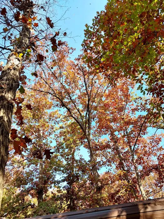 Holly Green Camping Grounds Picture 3