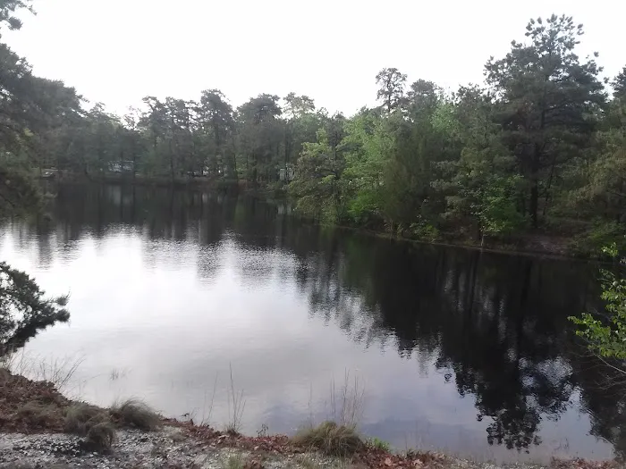 Roamers Beach RV Resort Picture 1