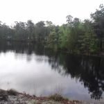 Roamers Beach RV Resort