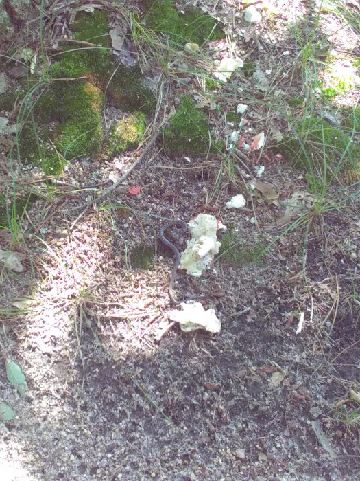 Roamers Beach RV Resort Picture 2