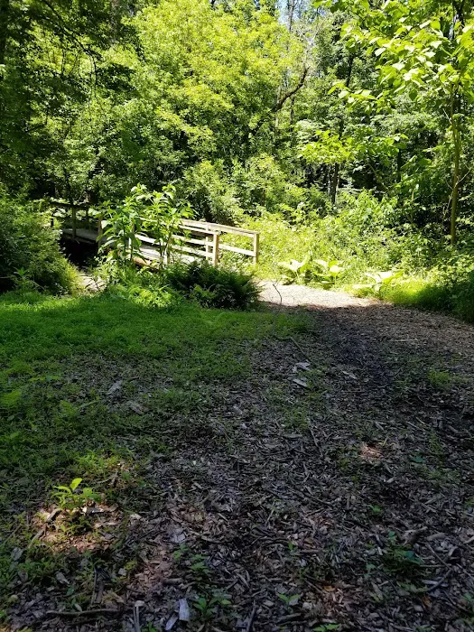 College Settlement Camps-Headwaters Of Pennypack Creek Picture 10