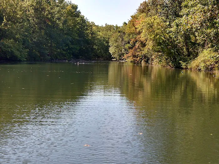 College Settlement Camps-Headwaters Of Pennypack Creek Picture 8