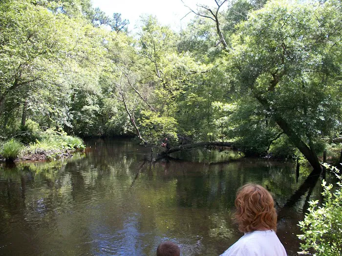 Winding River Campground Picture 10