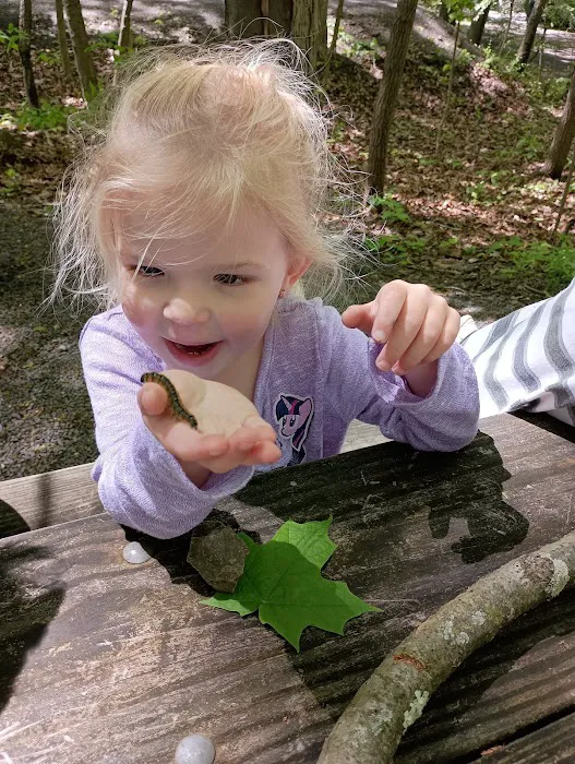 Beaver Vally Camp Grounds Picture 4