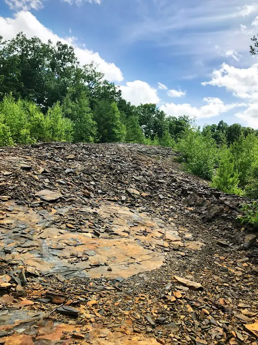 Cranberry Run Campground Picture 2