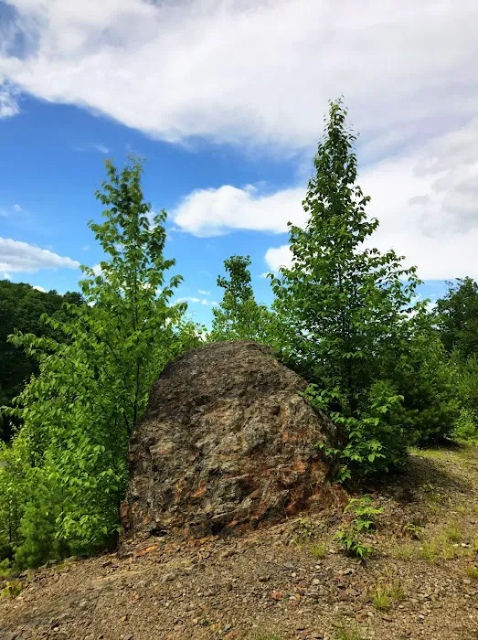 Cranberry Run Campground Picture 9