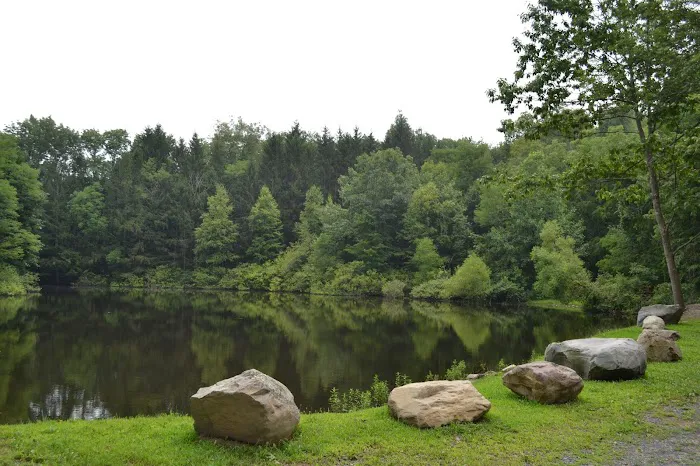 Cranberry Run Campground Picture 7