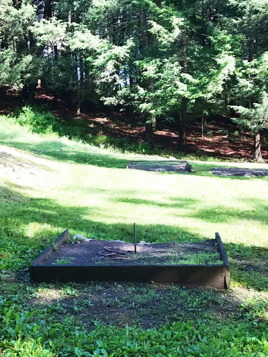 Cranberry Run Campground Picture 1