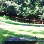 Cranberry Run Campground