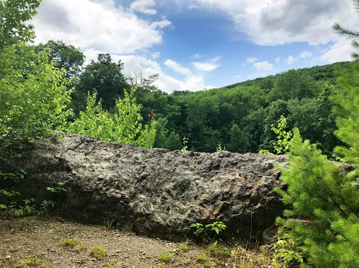 Cranberry Run Campground Picture 5