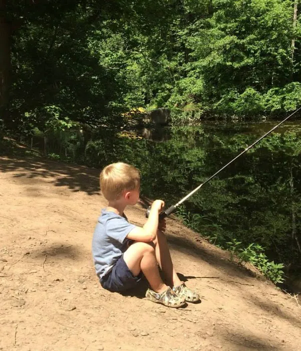 Tohickon Family Campground Picture 10