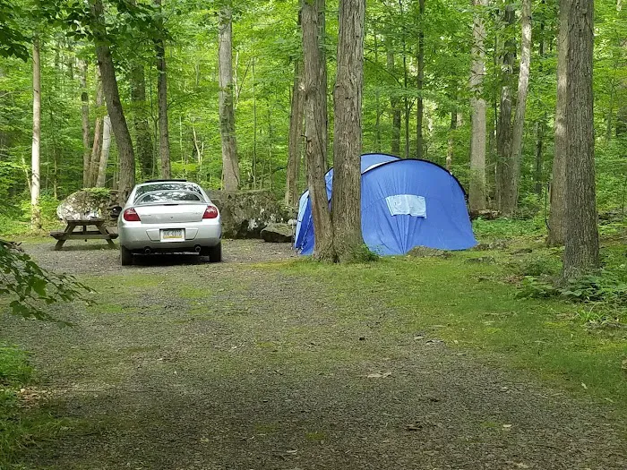 Homestead Family Campground Picture 8