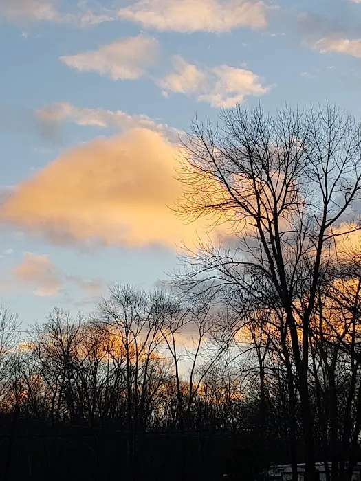 Homestead Family Campground Picture 9