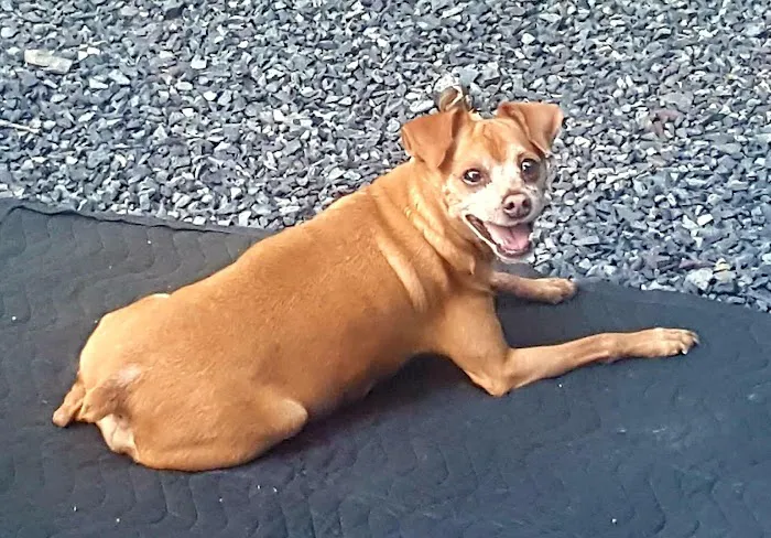 Homestead Family Campground Picture 4