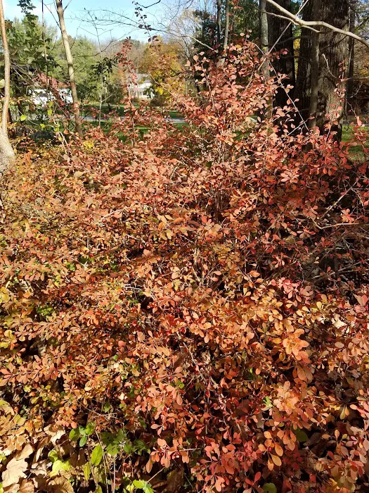 Homestead Family Campground Picture 3