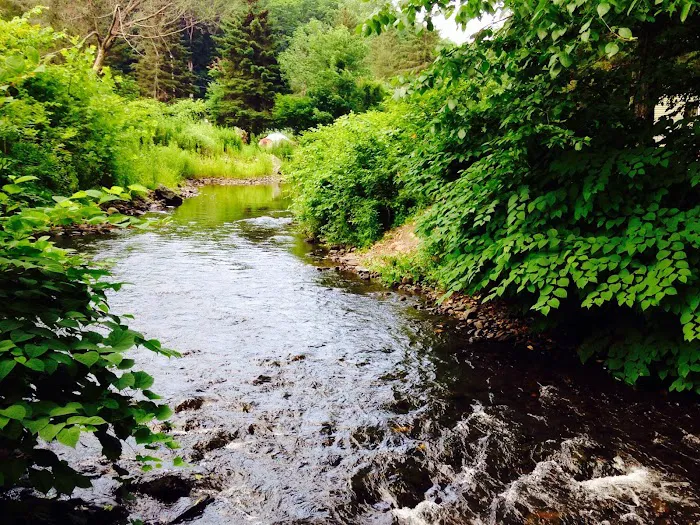 Spring Glen Campgrounds Inc Picture 10