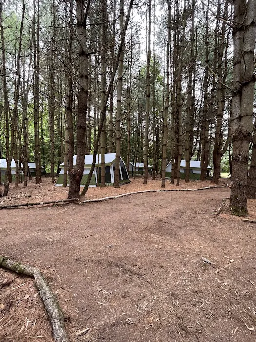 Camp Shabbat Campground Picture 3