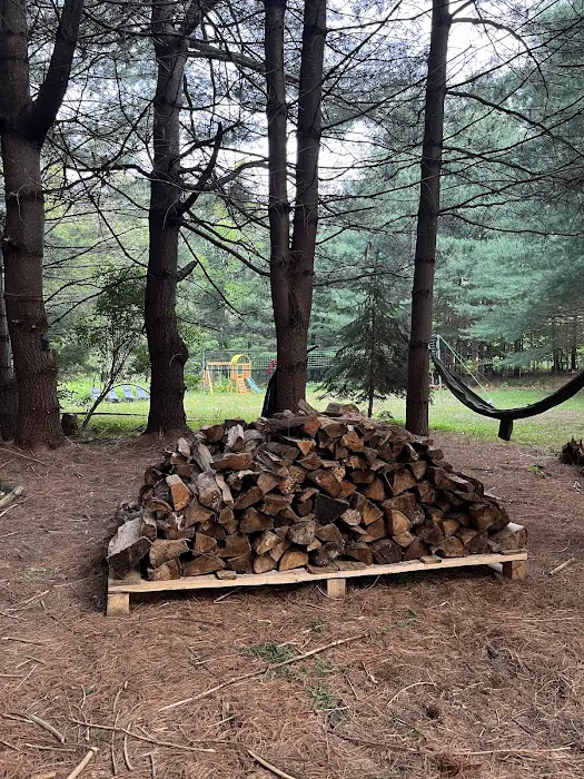 Camp Shabbat Campground Picture 5